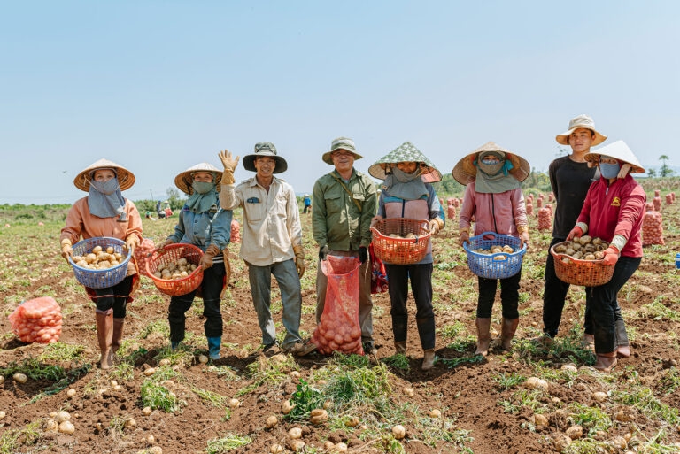 Phát triển sinh kế địa phương & xây dựng nguồn nguyên liệu khoai tây bền vững.